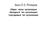 Зоол.Л.2. Protozoa. Общие черты организации Монадный тип организации Cаркодовый тип организации