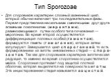 Тип Sporozoaе. Для споровиков характерен сложный жизненный цикл, который обычно включает три последовательные фазы. Первая представлена несколькими сменяющими друг друга агамными поколениями (м е р о н т а м и), размножающимися путем особого типа почкования — мерогонии. Во время второй осуществляетс