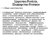 Царство Protista, Подцарство Protozoa. 1. Общая характеристика К подцарству Protozoa относятся гетеротрофные эукариоты, среди которых есть одноклеточные моно- и полиэнергидные, многоклеточные и колониальные организмы. Общее свойство всех представителей подцарства: их организация не выходит за предел