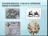 Изображения собак в древнем риме и египте