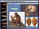 Умело заточенные наконечники дротиков, найденные около Кловиса в Нью-Мексико, доказывают, что уже около 12 тыс. лет назад Северную Америку населяли охотники на крупного зверя. Начиная с H. habilis, люди использовали каменные орудия труда, всё более искусно изготовленные. Челов́ек ум́елый (лат. Homo 