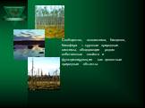 Сообщество, экосистема, биоценоз, биосфера – крупные природные системы, обладающие рядом собственных свойств и функционирующие как целостные природные объекты.
