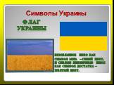Символы Украины Флаг Украины. Безоблачное небо как символ мира – синий цвет, и спелые пшеничные нивы как символ достатка – желтый цвет.