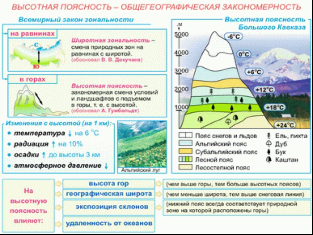 Природные зоны гор алтая таблица. Высотная поясность общегеографическая закономерность. Природные зоны России Высотная поясность. Высотная поясность Кавказа 8 класс география. Высотная поясность большого Кавказа.