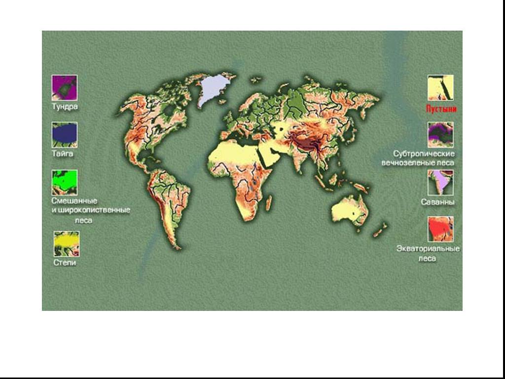 Материки и природные зоны на карте. Карта степи на материках. Субтропические леса на карте. Природная зональность материков земли. Субтропические вечнозеленые леса на карте.