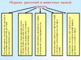 Охрана растений и животных нашей страны