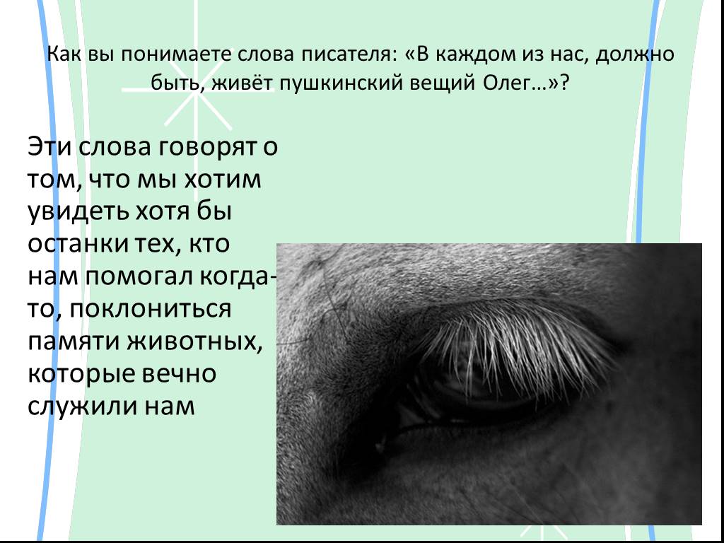Прочитайте текст все живые существа. Фёдор Абрамов о чём плачут лошади. Рассказ о чём плачут лошади. Как плачут лошади. О чем плачут лошади: рассказы.