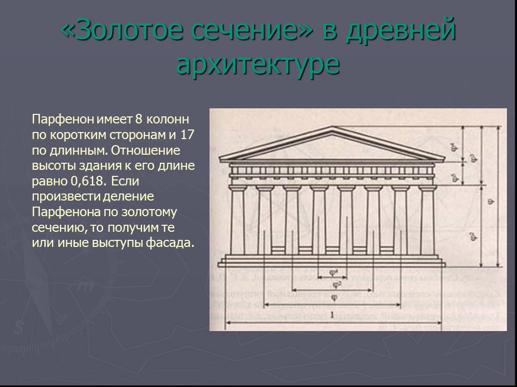 Золотое сечение в природе и архитектуре проект