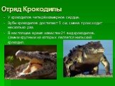 Отряд Крокодилы. У крокодилов четырёхкамерное сердце. Зубы крокодилов достигают 5 см, смена происходит несколько раз. В настоящее время известен 21 вид крокодилов, самым крупным из которых является нильский крокодил.