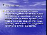 Заключение. Существуют интересные планы по созданию на Дальнем Востоке большого океанариума, в котором могли бы жить касатки. Пока это только проекты, но я уверена они скоро осуществятся. Когда я вырасту, мне хотелось бы продолжить их изучение в этом океанариуме.