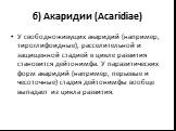 б) Акаридии (Acaridiae). У свободноживущих акаридий (например, тироглифоидные), расселительной и защищенной стадией в цикле развития становится дейтонимфа. У паразитических форм акаридий (например, перьевые и чесоточные) стадия дейтонимфы вообще выпадает из цикла развития.