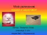 Моё увлечение кошки и черепахи! Автор: Токарчук Лиза ученица 3 «А» лицея №2 г.Мурманска