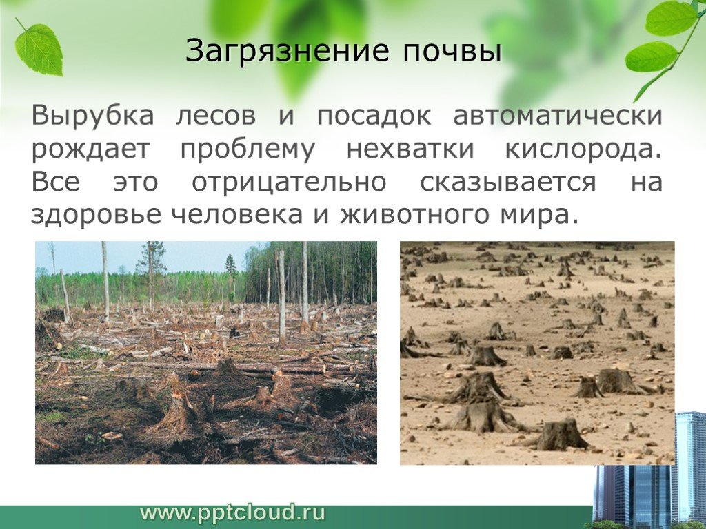 Чем опасно для человека загрязнение почвы. Вырубка лесов и загрязнение почвы. Вырубка лесов экологическая проблема. Влияние вырубки лесов. Экология почвы.