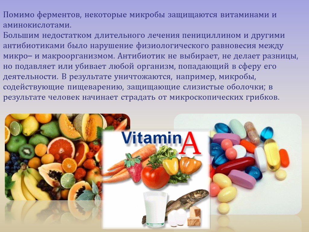 Можно принимать антибиотики с витаминами. Витамины и ферменты. Антибиотики витамины ферменты. Презентация на тему витамины и антибиотики. Витамины микробиология.