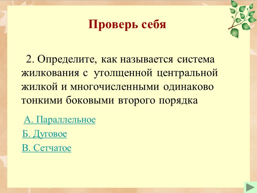 Что авторы называют системой