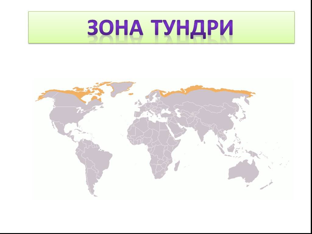 Тундра зона распространения. Расположение тундры на карте. Распространение тундры на карте. Географическое положение тундры на карте.