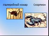 Малярийный комар Скорпион