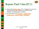 Формат Flash Video (FLV). технология Flash Video (flv), позволяет получить хорошее качество записи при небольшом объеме передаваемых данных. Используется на YouTube, Google Video, Reuters.com, Yahoo! Video и MySpace.