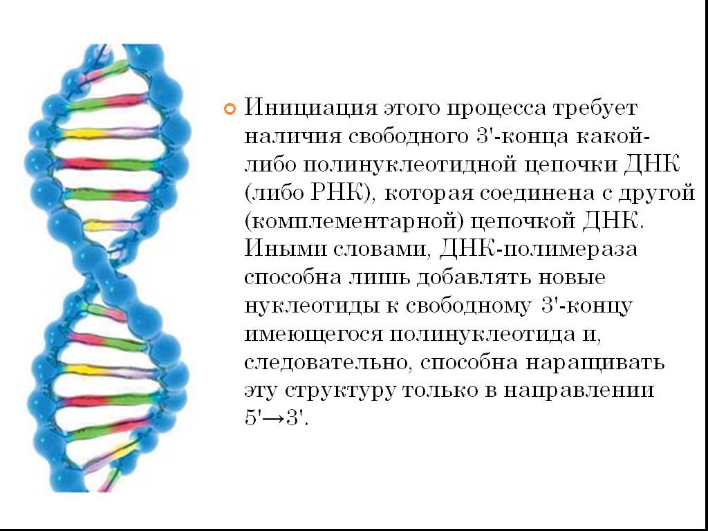Структуры молекулы днк установили. Молекулярная структура ДНК расшифрована. Строение молекулы ДНК рисунок. Структуру молекулы ДНК расшифровали. Цепи ДНК названия.