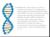 Инициация этого процесса требует наличия свободного 3'-конца какой-либо полинуклеотидной цепочки ДНК (либо РНК), которая соединена с другой (комплементарной) цепочкой ДНК. Иными словами, ДНК-полимераза способна лишь добавлять новые нуклеотиды к свободному 3'-концу имеющегося полинуклеотида и, следов