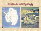 Открыли Антарктиду