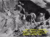 Заживо похороненные большевиками офицеры в Пятигорске. Положение трупов показывает, что погребенные пытались выбраться из-под земли. 1919 г.