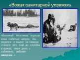 «Вожатый Анисимов хорошо знал собачью натуру. Он родился и вырос на Севере и много лет, ещё до службы в армии, имел дело с собаками, работая каюром…»