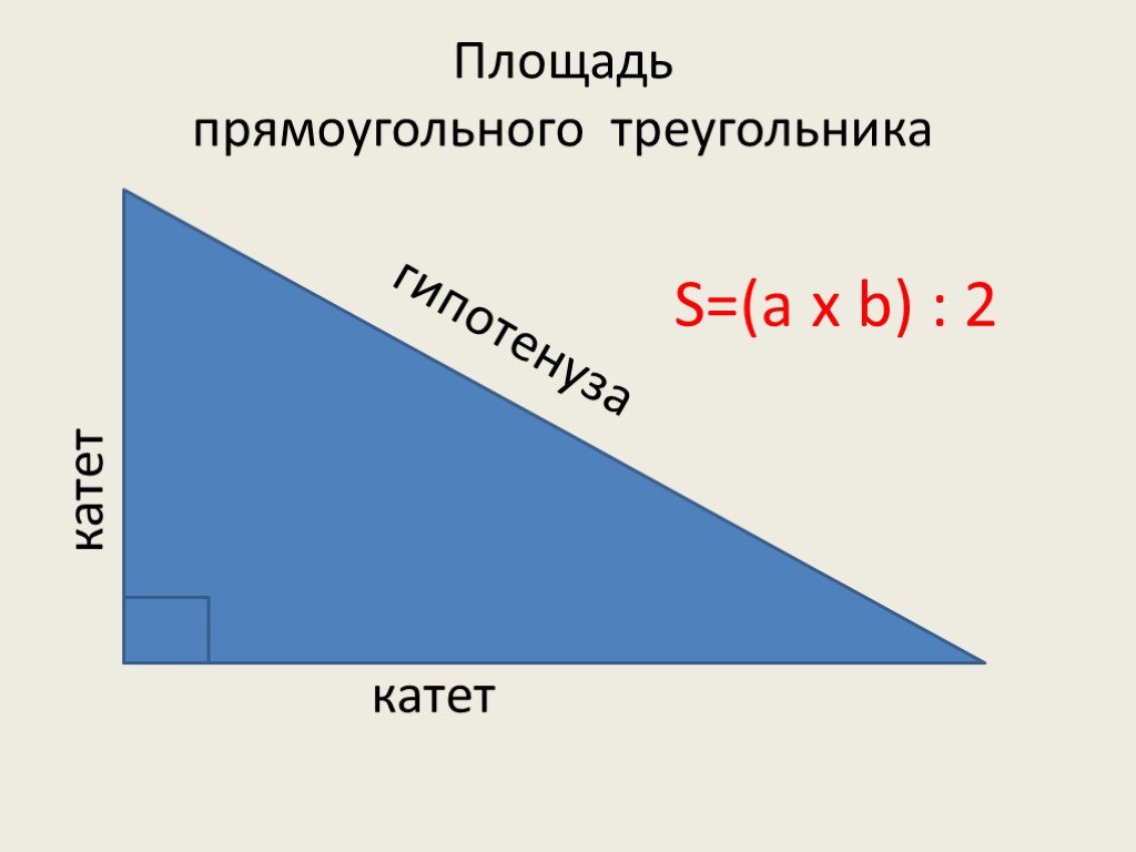 Площадь треугольника формула 4 класса. Формула поиска площади прямоугольного треугольника. Площадь прямоугольного треугольника 4кл. Площадь прямоугольного треугольника 4 класс. Формула нахождения площади прямоугольного треугольника.