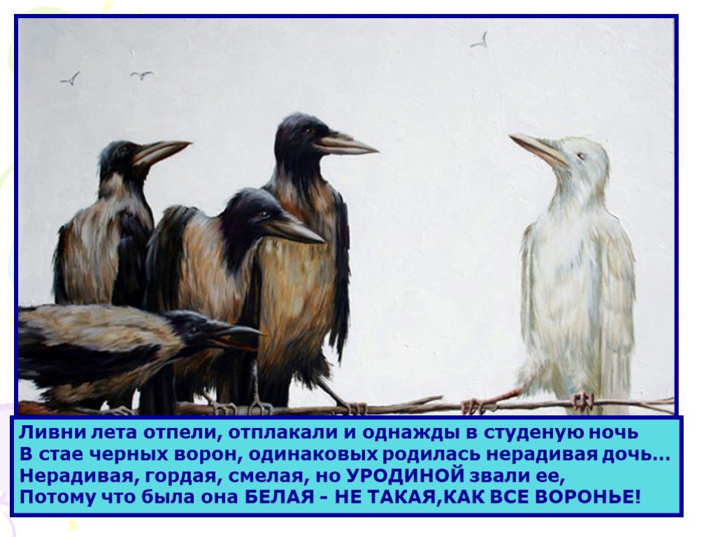 Так плохо быть вороной. Белая ворона в черной стае. Белая ворона в стае черных ворон. Белая ворона в стае чёрных. Стихи о белой вороне.