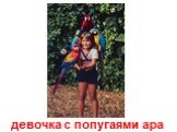 девочка с попугаями ара