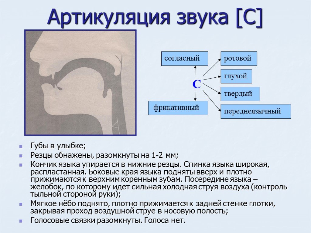 Артикуляция английских звуков в графическом изображении