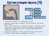 Артикуляция звука [Л]. Положение губ зависит от последующих гласных; Верхние и нижние резцы находятся на незначительном расстоянии друг от друга; Кончик языка поднимается и упирается в бугорки за верхними зубами (в альвеолы). Средняя часть спинки языка и края языка опущены. Задняя часть спинки языка