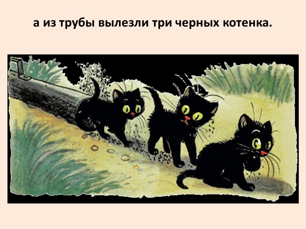 Последний черный кот