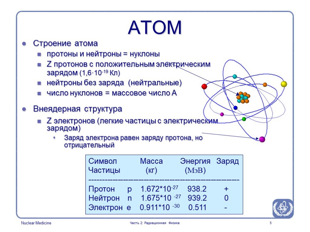 Сколько нуклонов в атоме урана