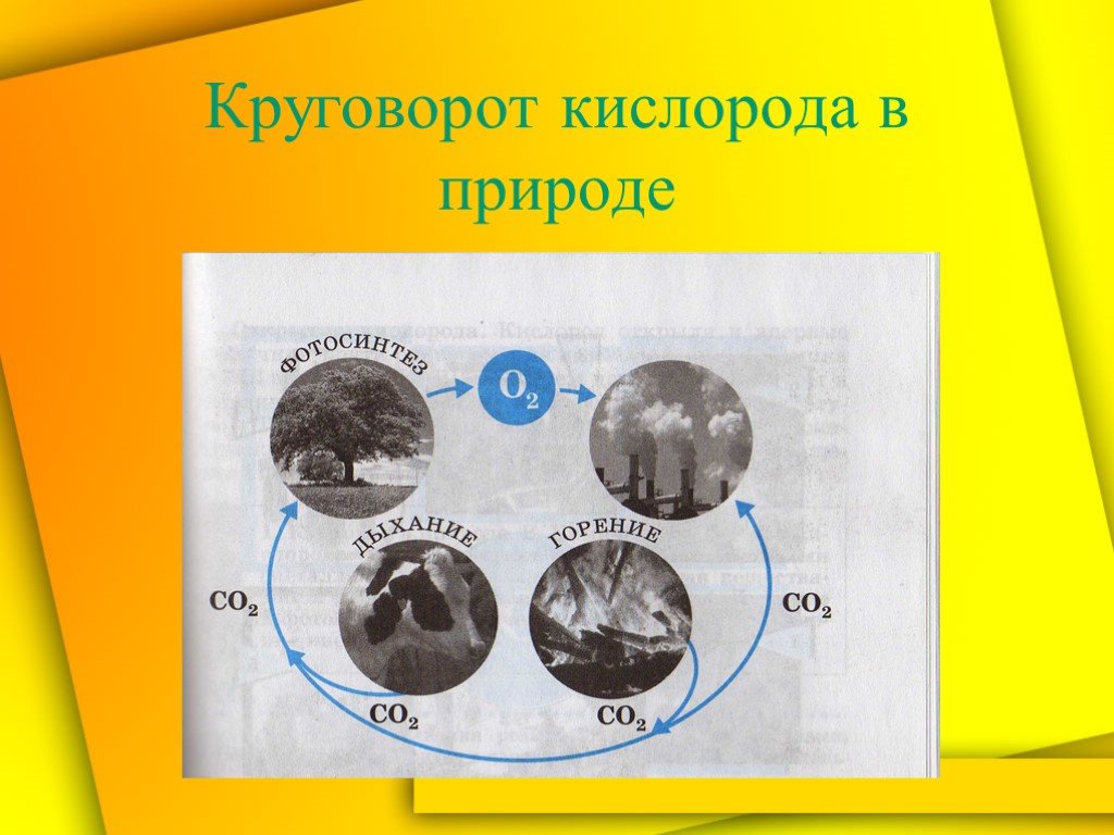 Кислород необходим для жизни. Круговорот кислорода в природе схема 8 класс химия. Кислород в природе схема. Круговорот кислорода в природе схема. Круговорот кислорода в природе химия.