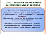 Почва – сложная окислительно-восстановительная система. Окислительно-восстановительные процессы в почвах протекают с участием как неорганических так и органических веществ Например: Образование гумуса из растительных остатков (окислительный процесс) Окислительно-восстановительные реакции, сопровожда