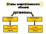 Этапы энергетического обмена. организмы АЭРОБЫ (+О2) АНАЭРОБЫ (-О2). 3 этапа энергетического обмена. 2 этапа энергетического обмена