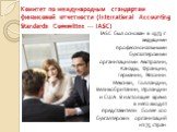 IASC был основан в 1973 г. ведущими профессиональными бухгалтерскими организациями Австралии, Канады, Франции, Германии, Японии. Мексики, Голландии, Великобритании, Ирландии и США. В настоящее время в него входят представители более 100 бухгалтерских организаций из 75 стран. Комитет по международным