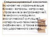 Специализированный консалтинг. Включает не указанные выше бизнес - вопросы, например, управление электроэнергией, телекоммуникациями, экологической ситуацией, материально-техническим снабжением, а также вопросы государственного сектора.