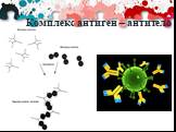 Комплекс антиген – антитело