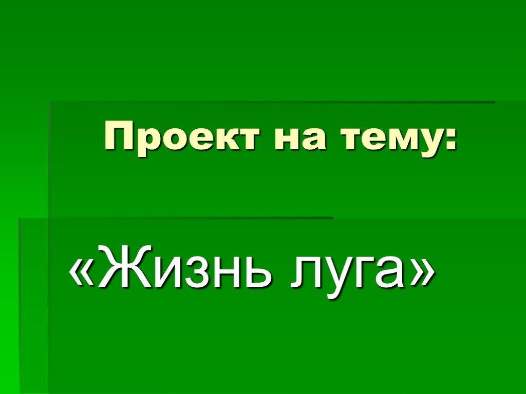 Презентация на тему луг