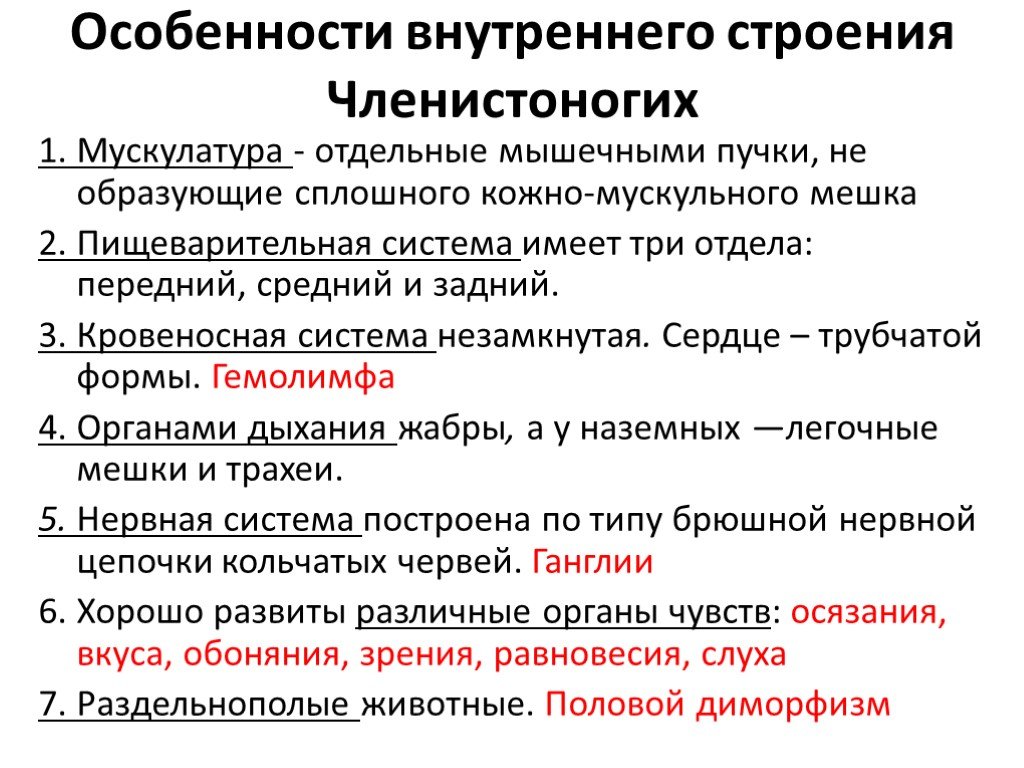 Строение членистоногих. Особенности внутреннего строения членистоногих. Особенности внешнего строения членистоногих биология 7 класс. Внешнее и внутреннее строение членистоногих 7 класс. Биология 7 класс особенности внутреннего строения членистоногих.