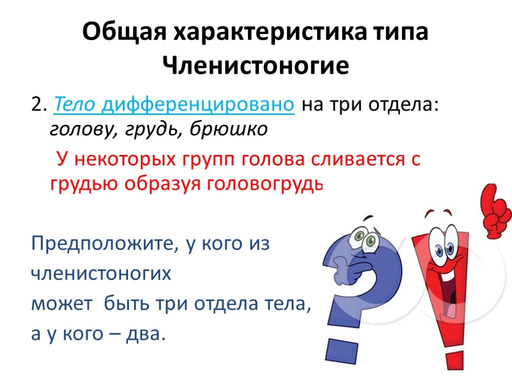 Три отдела. Дифференцированное тело. Тело дифференцировано на 3 отдела. У кого тело дифференцировано на корень.