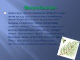 Микробиотип. организмы, представляющие промежуточное звено между растительными и животными организмами (бактерии, зеленые и сине-зеленые водоросли, грибы, простейшие одноклеточные). Это водные организмы, но мельче обитающих в воде. Живут в порах почвы, заполненных водой – микроводоемах. Основное зве