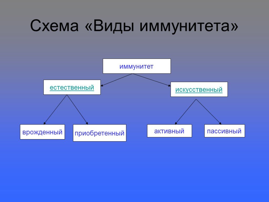 Иммунитет биология 8. Схема виды иммунитета биология 8 класс. Схема иммунитета 8 класс биология. Составить схему виды иммунитета. Формы иммунитета схема.