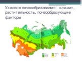 Условия почвообразования: климат, растительность, почвообразующие факторы