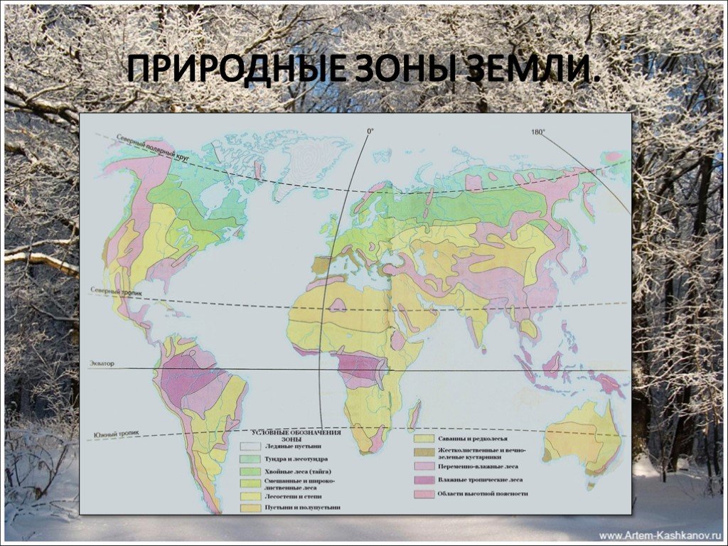 Какие зоны земли есть. Природные зоны земли. Природные зоны земли карта. Природные зоны земли карта природных зон.