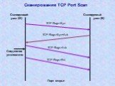 Сканирование TCP Port Scan. TCP Flags=Syn TCP Flags=Syn+Ack TCP Flags=Ack TCP Flags=Rst. Соединение установлено. Порт открыт