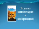 Вставка комментария и изображения