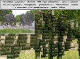 "Кладбище деревень" 30 июня 1969 года захоронены урны с землей 185 сел и деревень Белоруссии, уничтоженных захватчиками вместе с жителями и не возродившихся после войны.